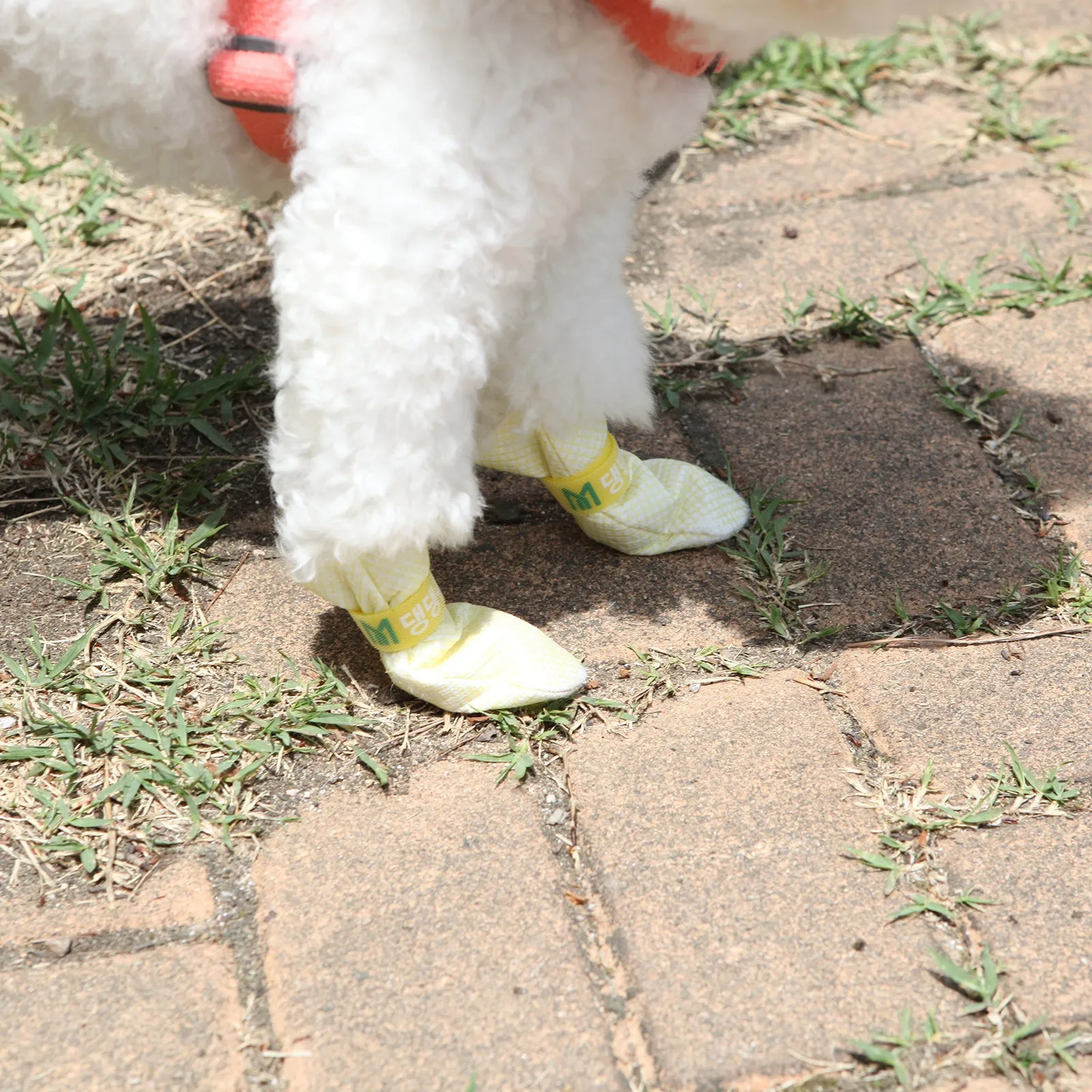 28pc Waterproof Breathable Non-Slip Dog Shoes - Daeng Daeng